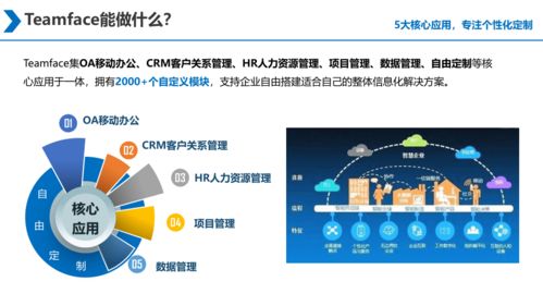 大型集團企業信息化建設 源代碼采購與二次開發的戰略抉擇